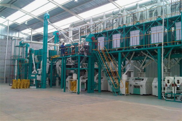 Planta de molienda de estructura de acero de 100 toneladas -2