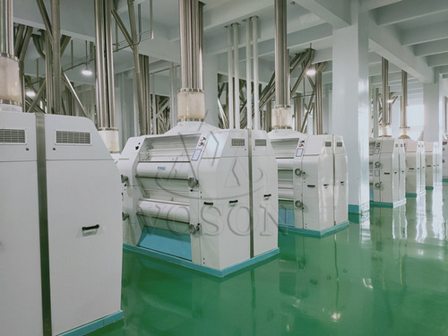 Línea completa de molienda de harina para maíz y trigo fabricada en China, que ofrece instalación y capacitación llave en mano